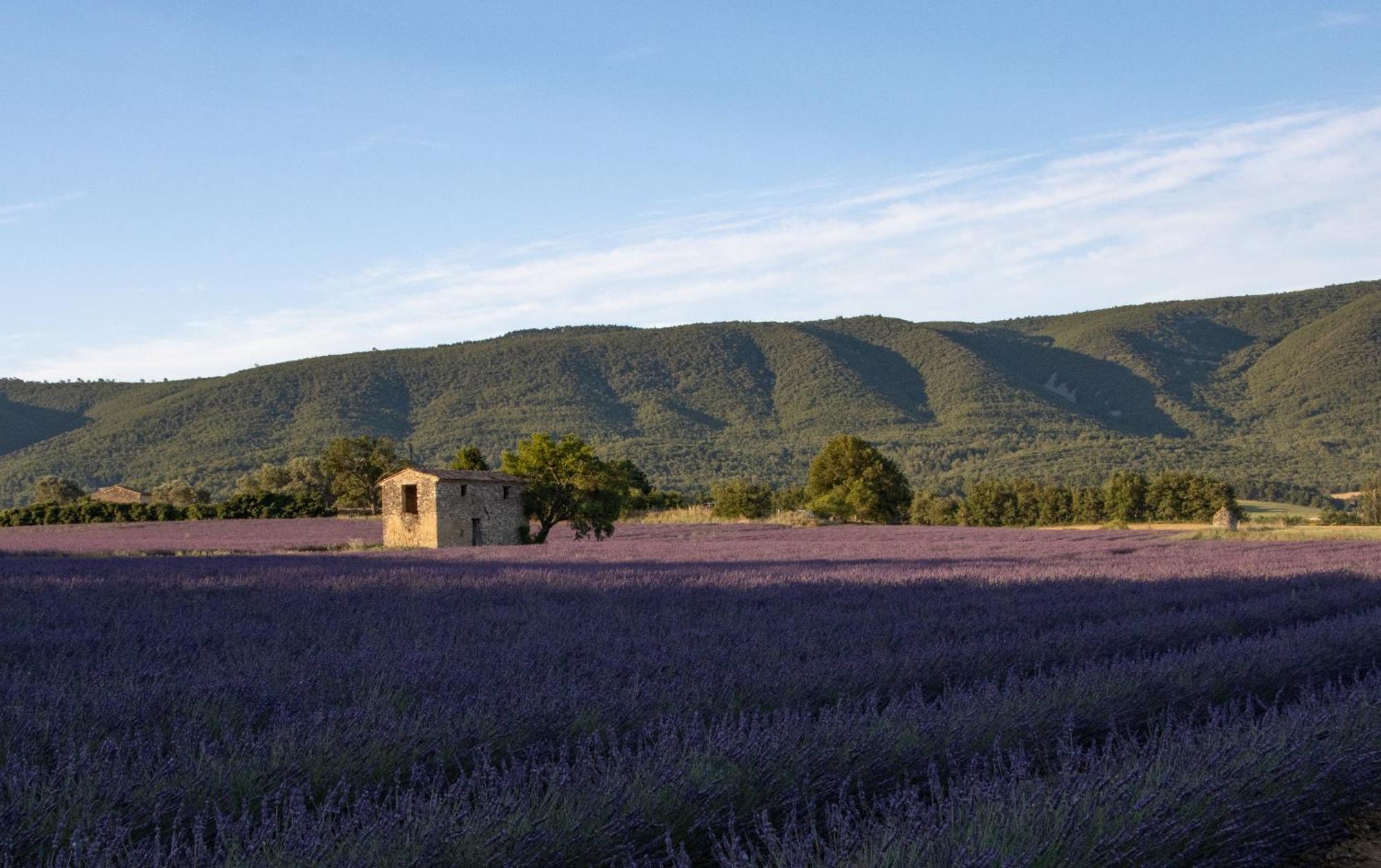 Céreste Studio Dans Le Luberon מראה חיצוני תמונה