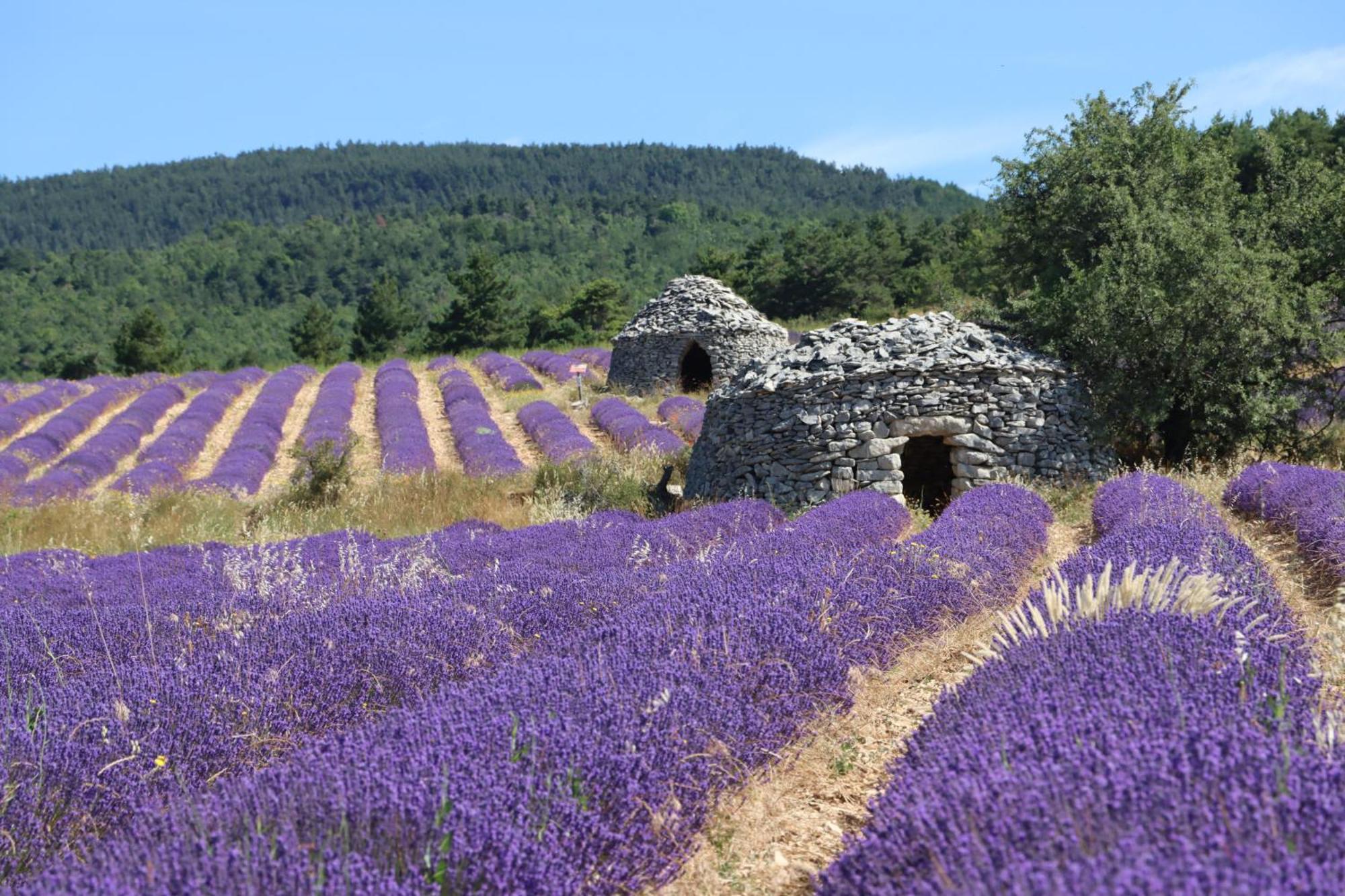 Céreste Studio Dans Le Luberon מראה חיצוני תמונה
