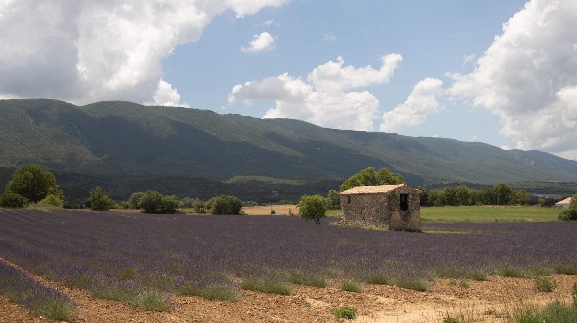 Céreste Studio Dans Le Luberon מראה חיצוני תמונה